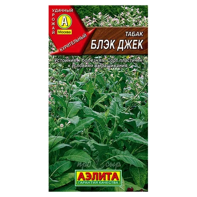 Семена Табак Блэк Джек